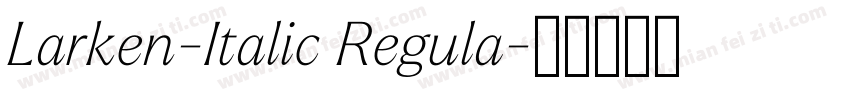 Larken-Italic Regula字体转换